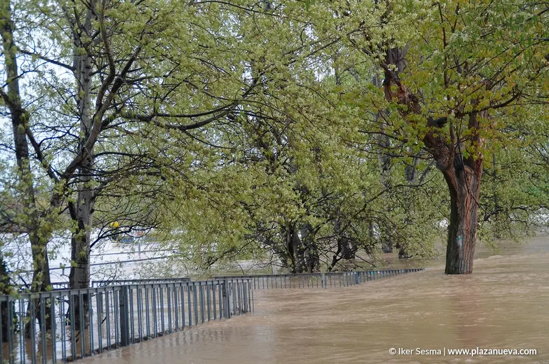 Crecida del Ebro (Tudela, 13-04-2018 a las 8'30 horas) - 28