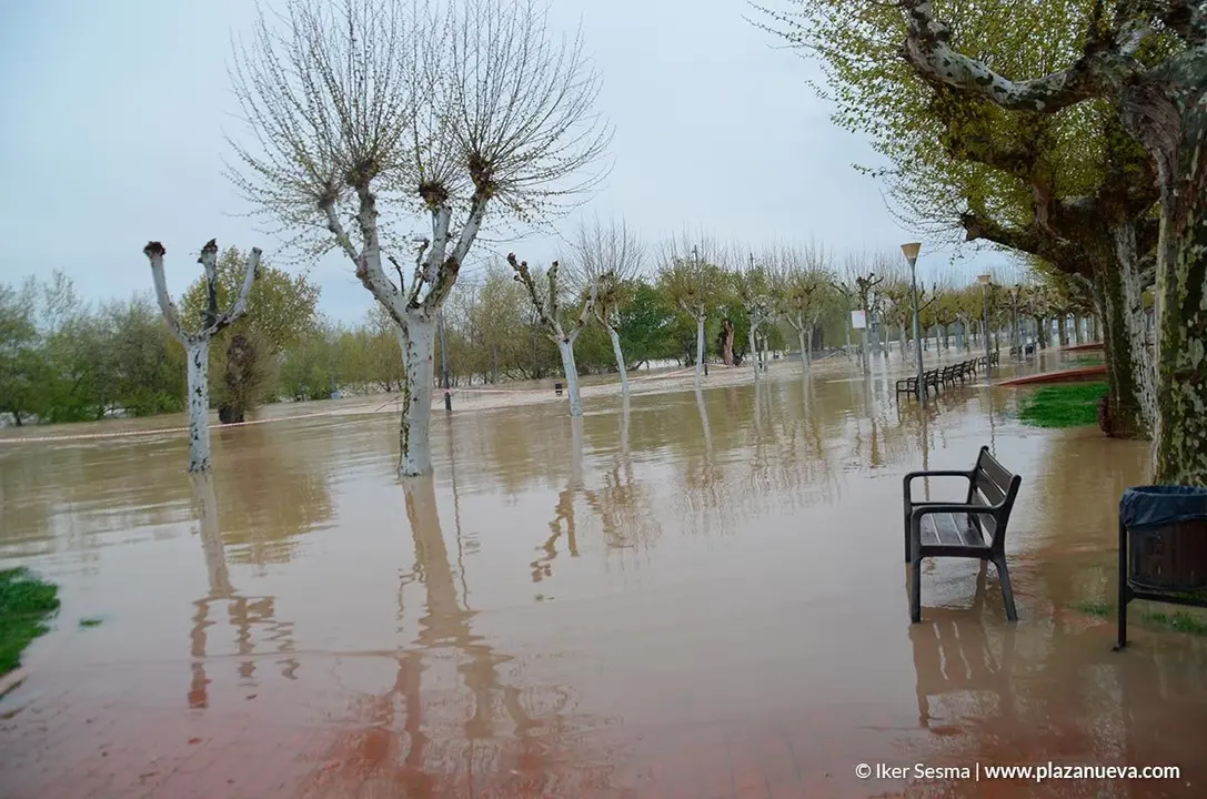 Crecida del Ebro (Tudela, 13-04-2018 a las 8'30 horas) - 29