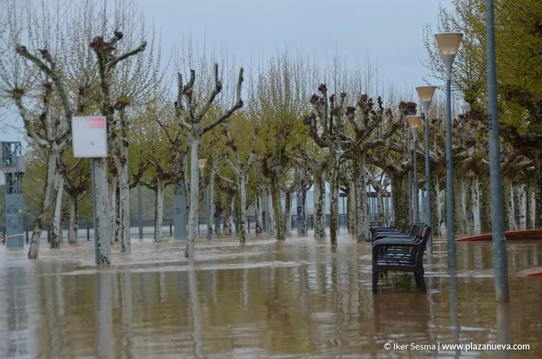 Crecida del Ebro (Tudela, 13-04-2018 a las 8'30 horas) - 30