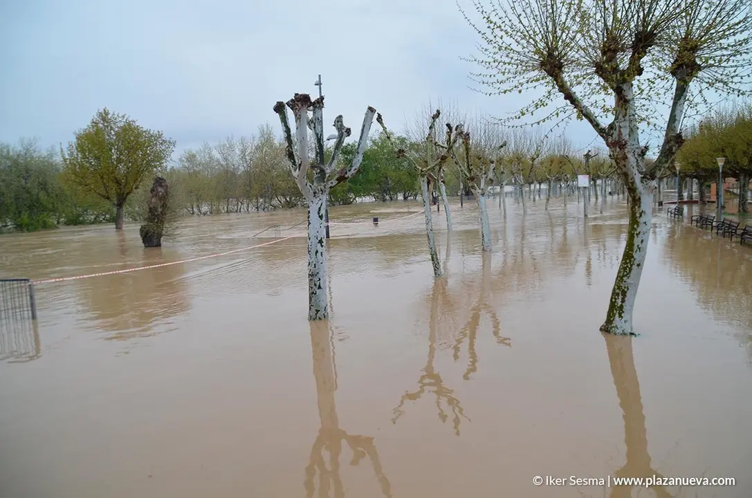 Crecida del Ebro (Tudela, 13-04-2018 a las 8'30 horas) - 31