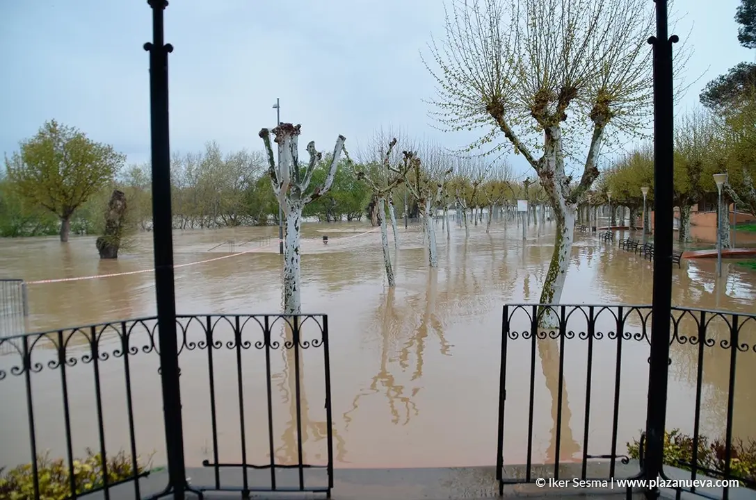 Crecida del Ebro (Tudela, 13-04-2018 a las 8'30 horas) - 32