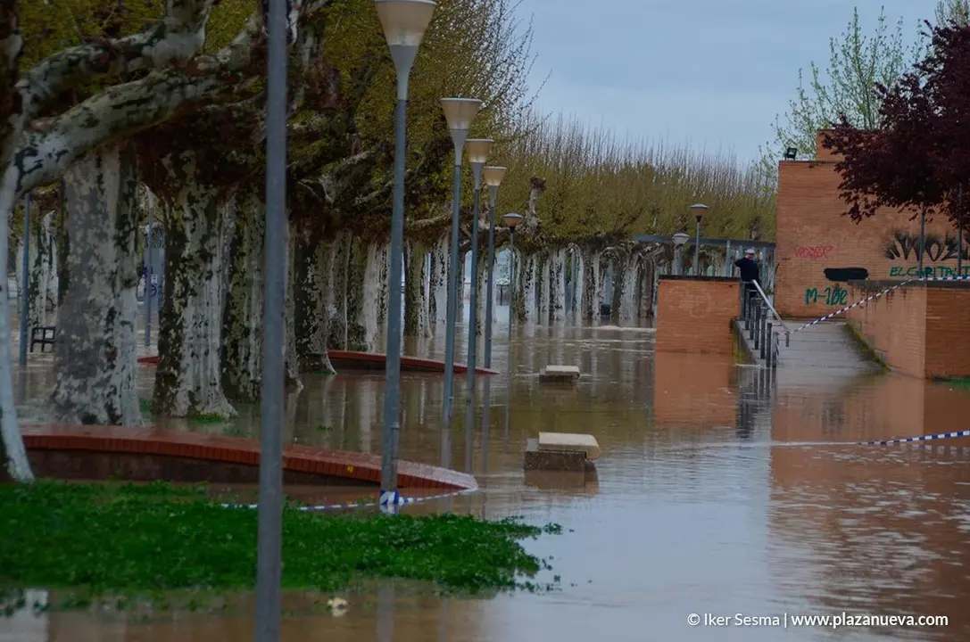 Crecida del Ebro (Tudela, 13-04-2018 a las 8'30 horas) - 33