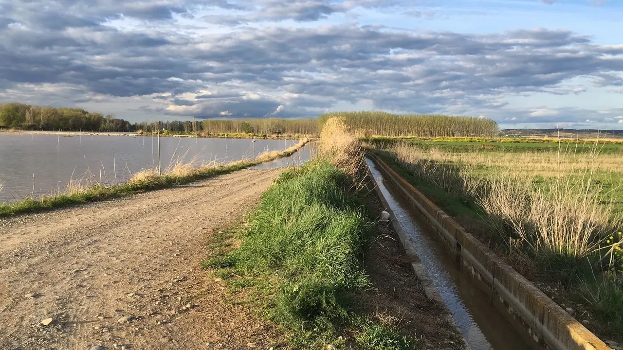 Crecida del Arag&oacute;n (Villafranca, 13-04-2018 a las 11 horas) - 1