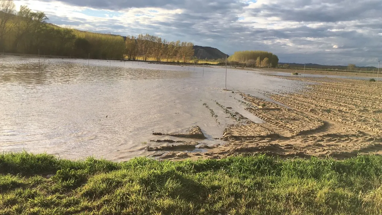 Crecida del Arag&oacute;n (Villafranca, 13-04-2018 a las 11 horas) - 2