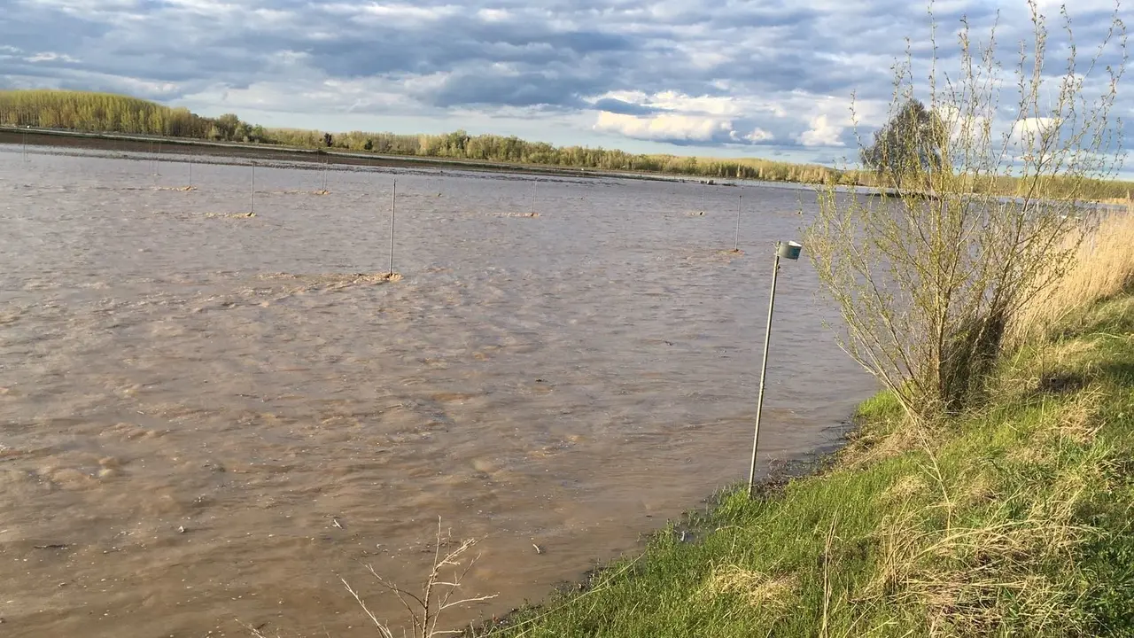 Crecida del Arag&oacute;n (Villafranca, 13-04-2018 a las 11 horas) - 3