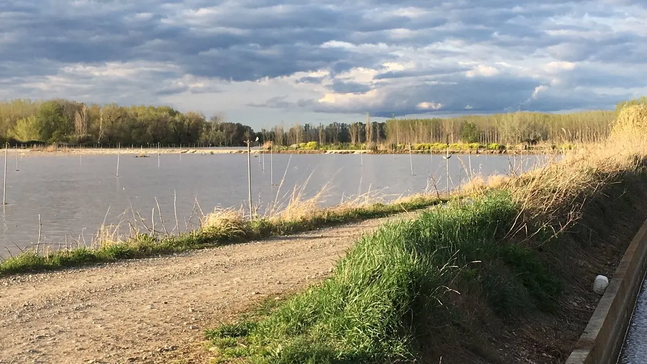 Crecida del Arag&oacute;n (Villafranca, 13-04-2018 a las 11 horas) - 6