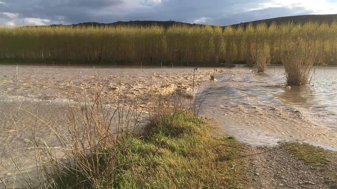 Crecida del Arag&oacute;n (Villafranca, 13-04-2018 a las 11 horas) - 7