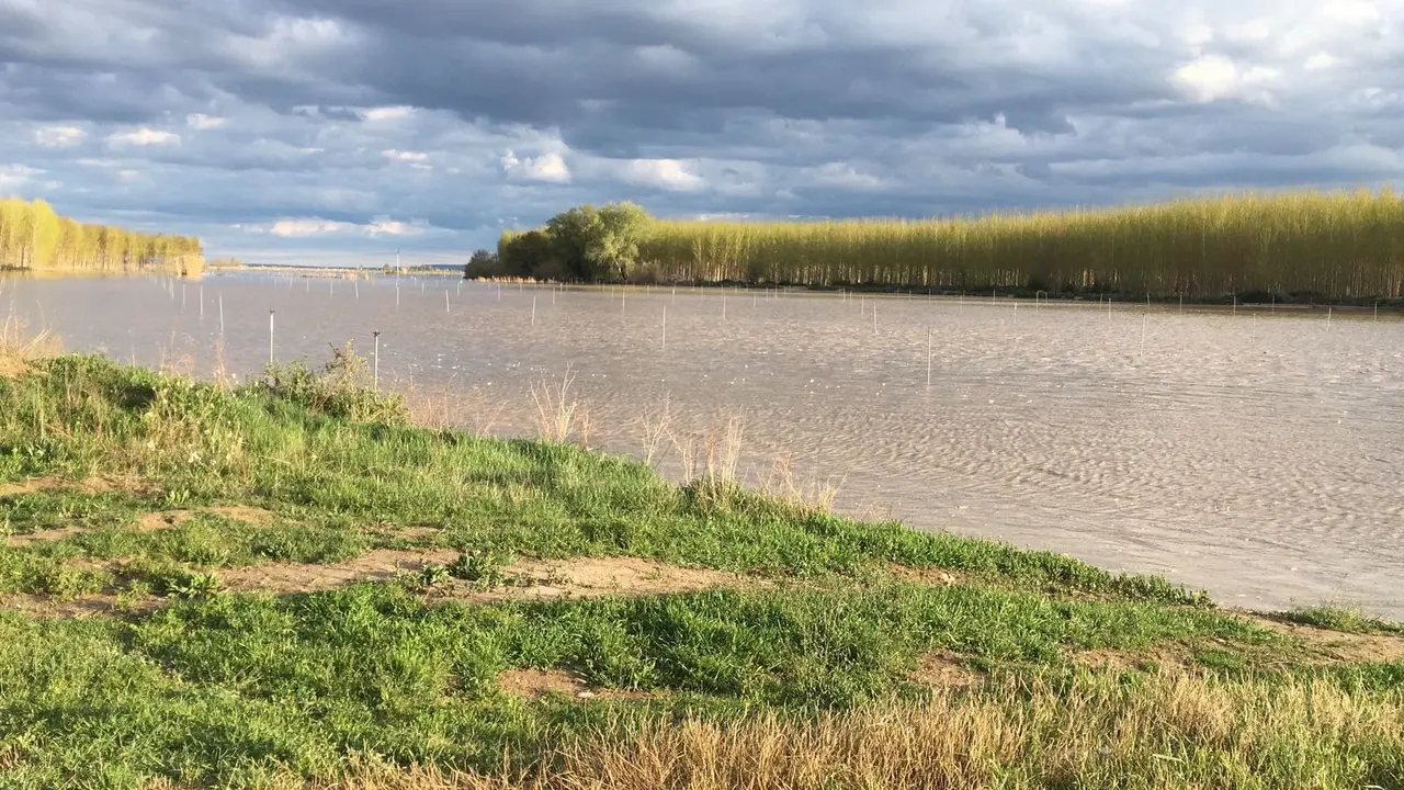 Crecida del Arag&oacute;n (Villafranca, 13-04-2018 a las 11 horas) - 8