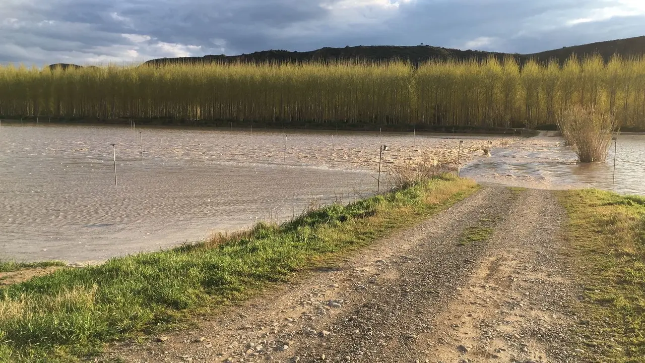 Crecida del Arag&oacute;n (Villafranca, 13-04-2018 a las 11 horas) - 9