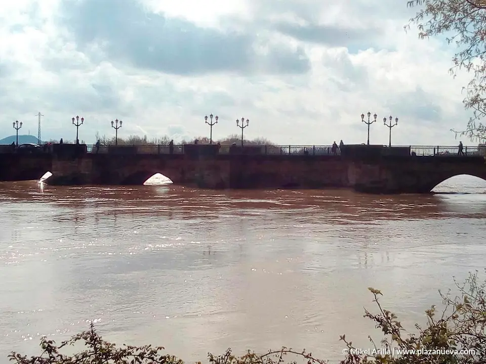 Crecida del Ebro (Tudela, 13-04-2018 a las 11 horas) - 6