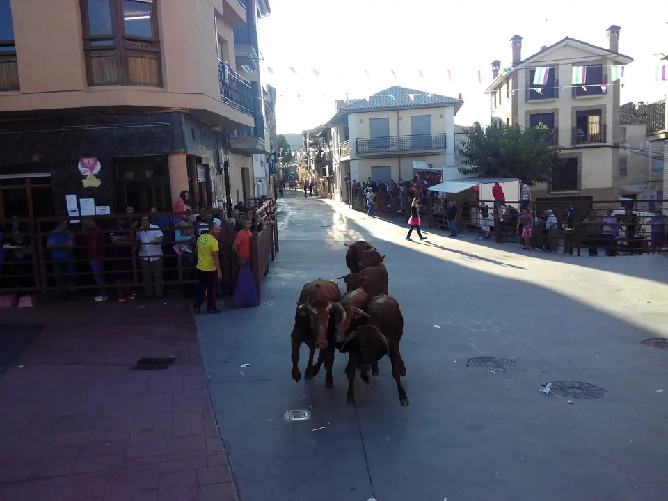 Encierro Rincon Olivedo