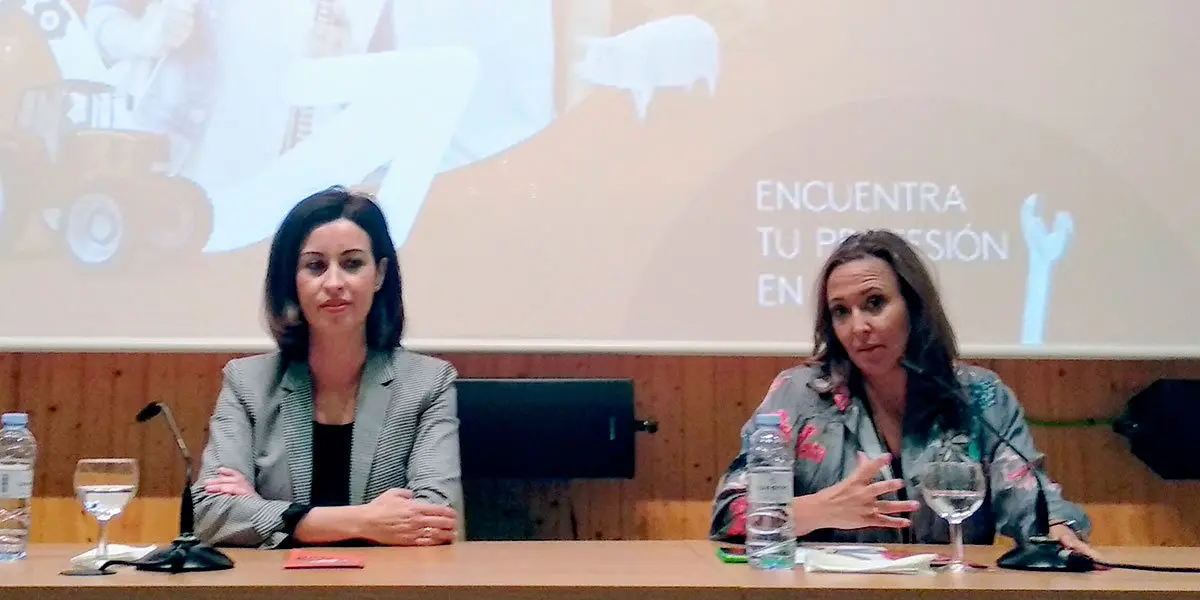 Presentaci&oacute;n de los seis nuevos ciclos