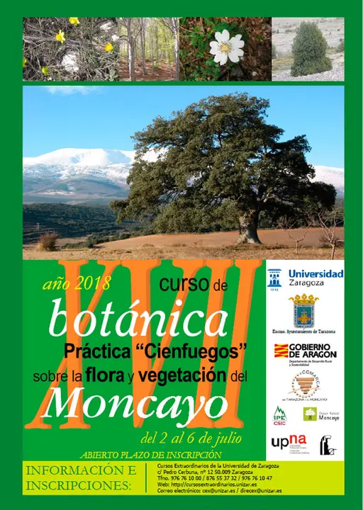 XVII Curso en Tarazona de Bot&aacute;nica Pr&aacute;ctica 'Cienfuegos' sobre la flora y vegetaci&oacute;n del Moncayo