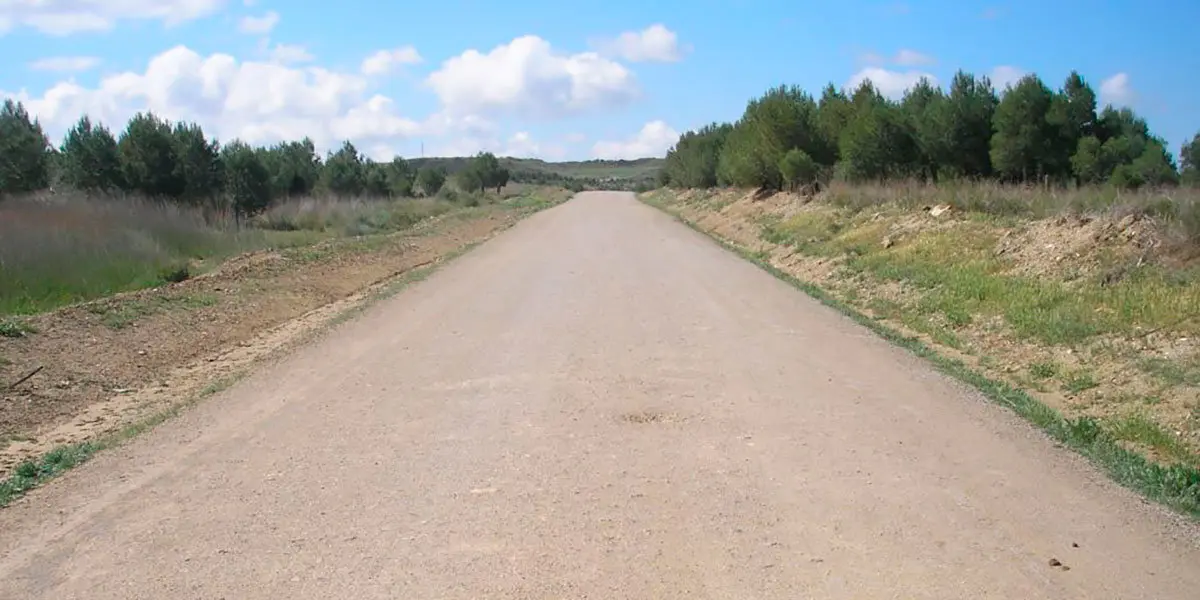 Un camino de Ejea de los Caballeros