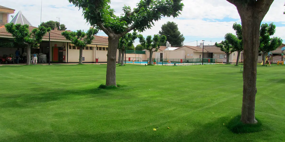 Nuevo c&eacute;sped de las piscinas