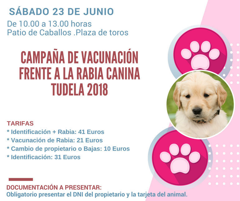 Campaña en Tudela de vacunación frente a la rabia canina