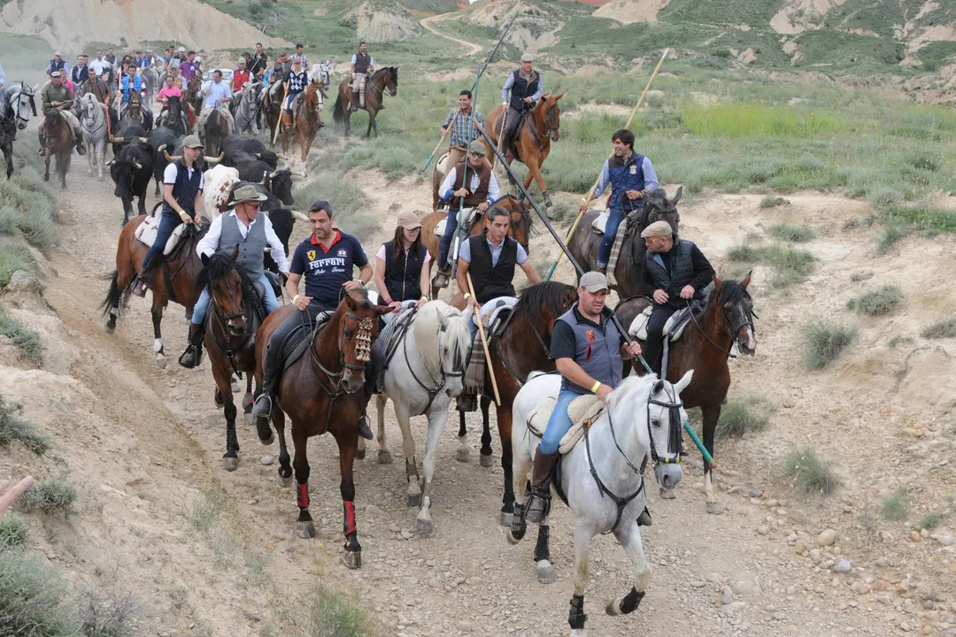 III D&iacute;a de la Trashumancia en Caparroso 