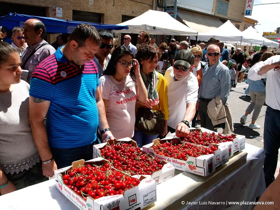 D&iacute;a de la Cereza en Milagro 12
