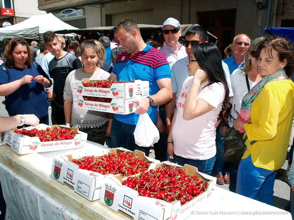 D&iacute;a de la Cereza en Milagro 13