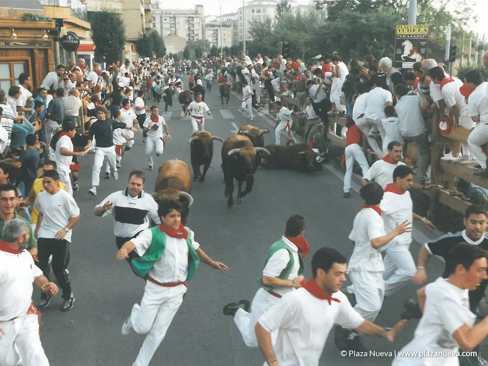 Fiestas de Tudela 2001