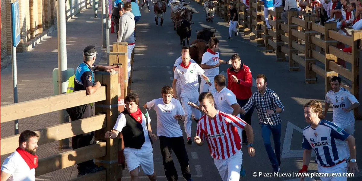 Encierro en Tudela