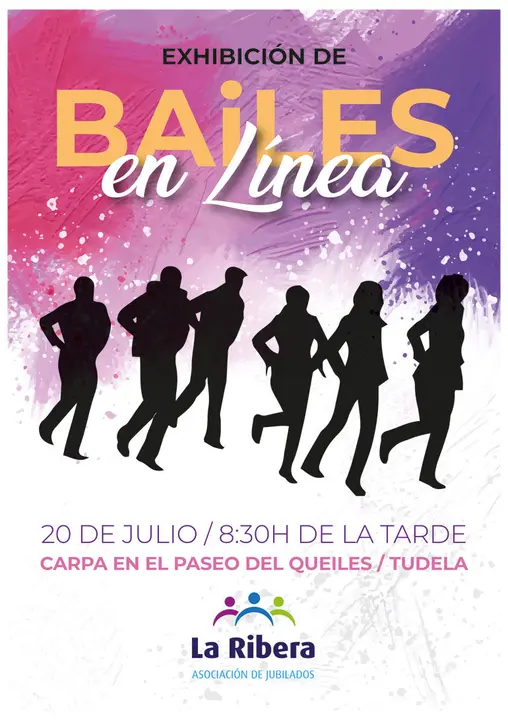 Exhibici&oacute;n en Tudela de bailes en l&iacute;nea