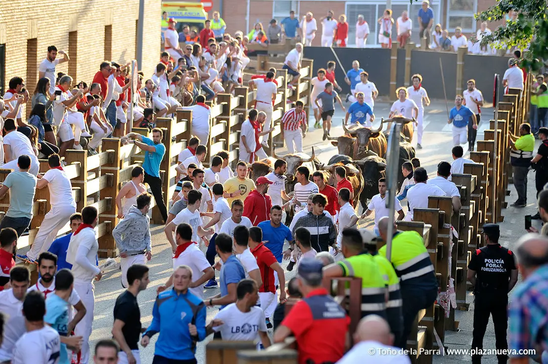 180725_FIESTAS01_56249