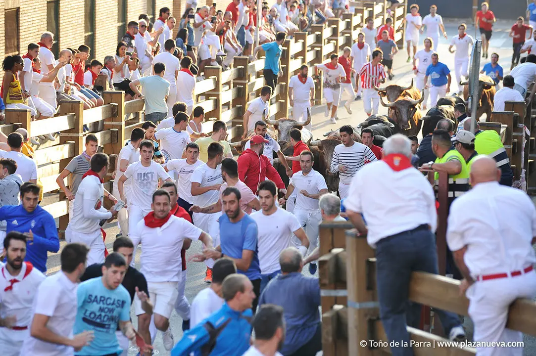 180725_FIESTAS01_56254