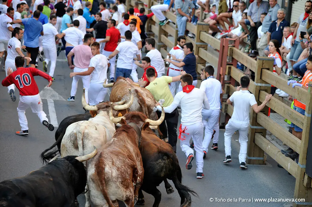 180725_FIESTAS01_56277