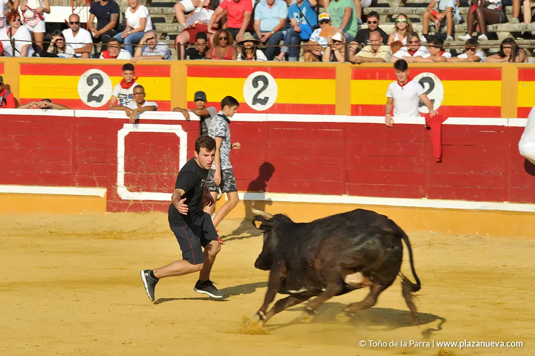 180725_FIESTAS01_56347