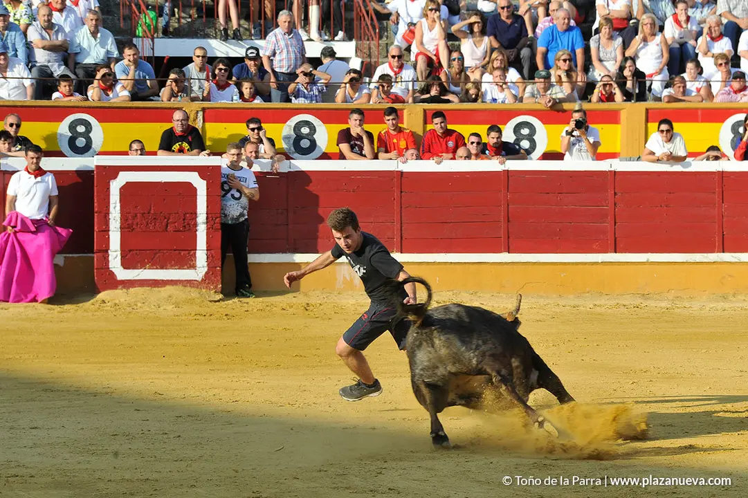 180725_FIESTAS01_56343
