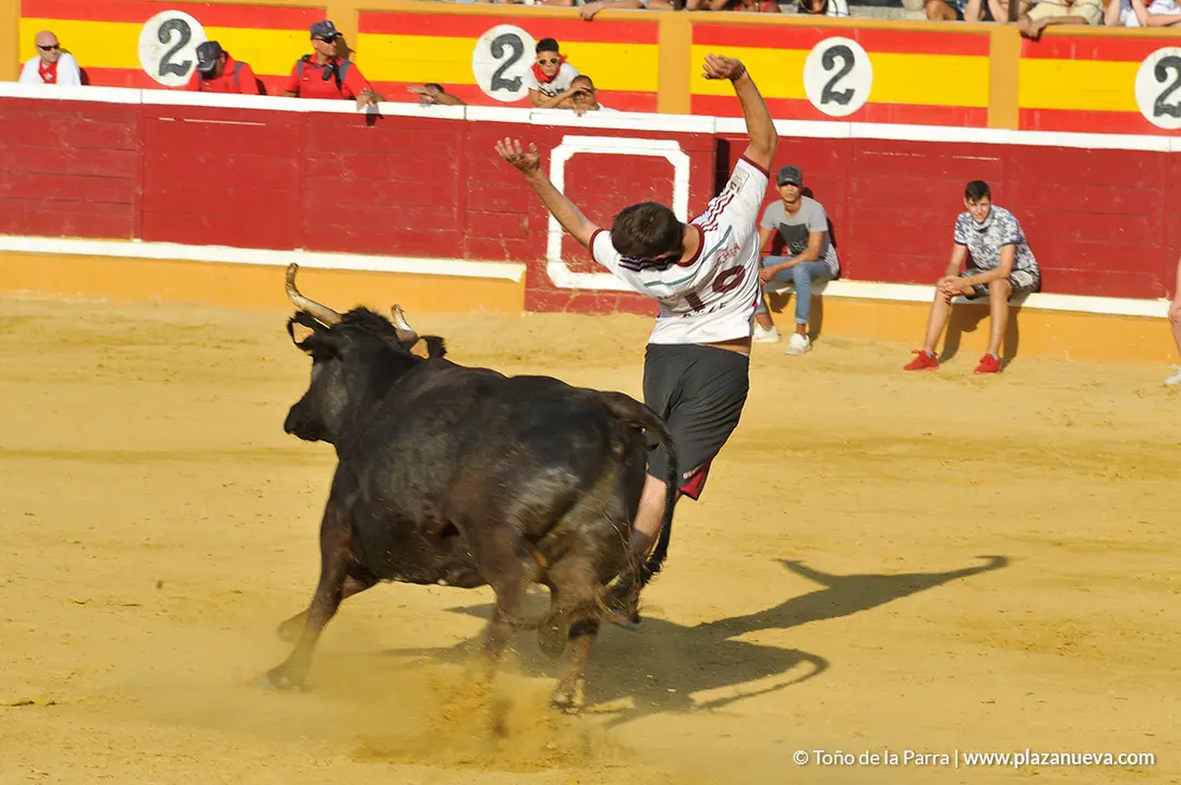 180725_FIESTAS01_56366