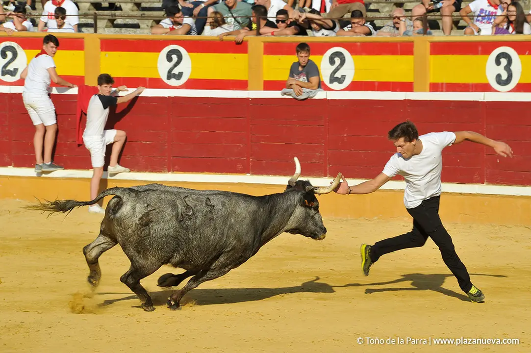 180725_FIESTAS01_56396