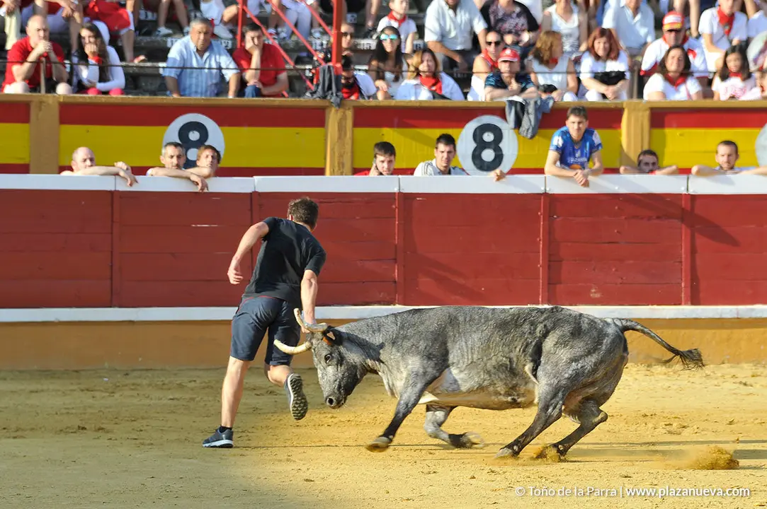 180725_FIESTAS01_56407
