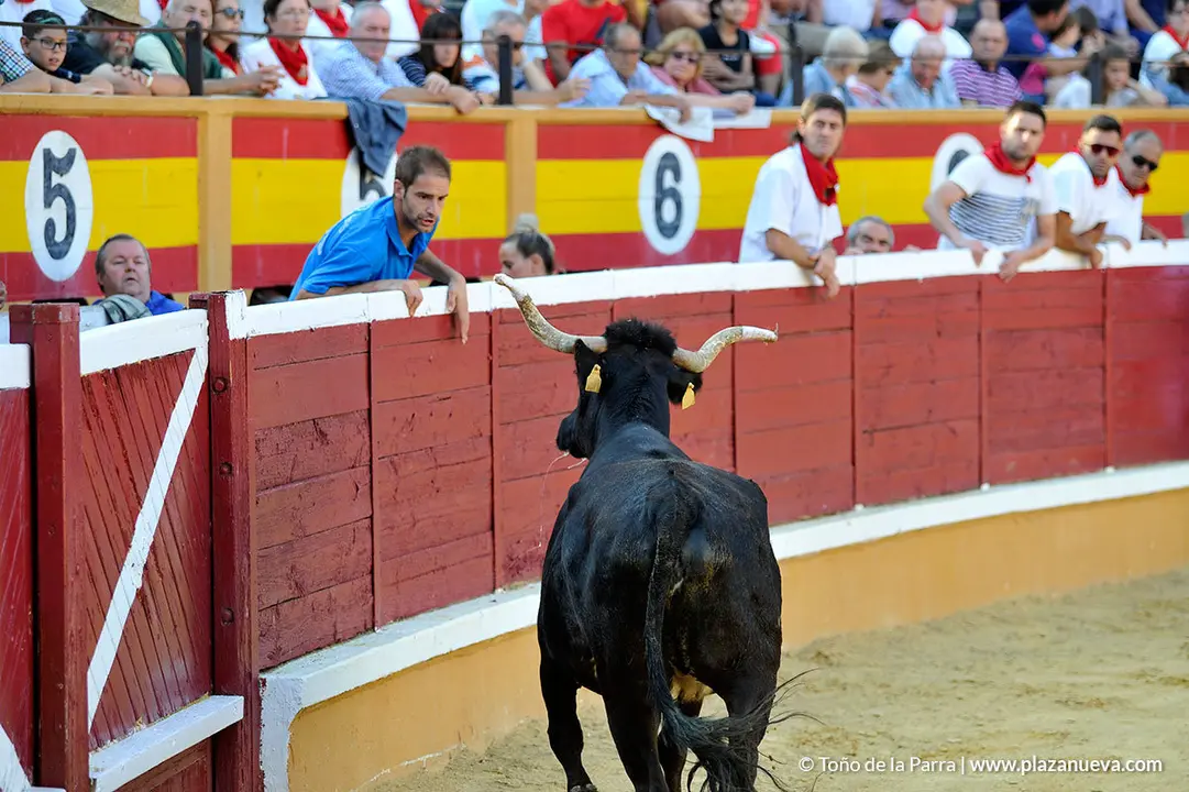 180725_FIESTAS01_56431