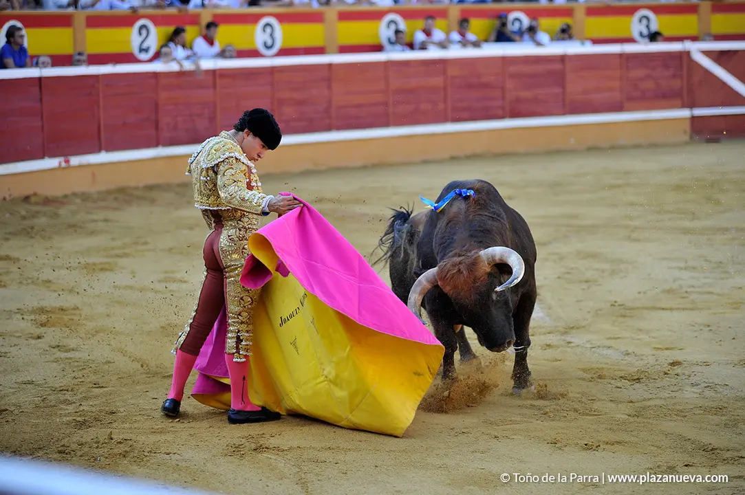 180725_FIESTAS02_56822
