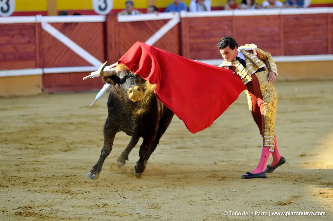 180725_FIESTAS02_56896