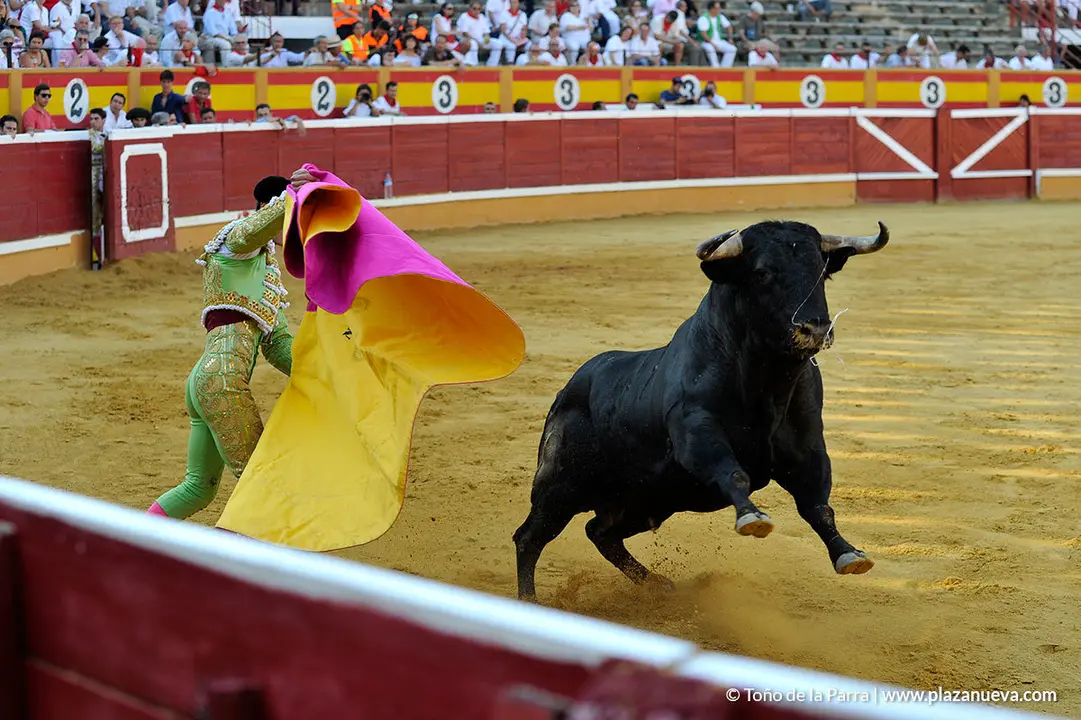180725_FIESTAS02_57263