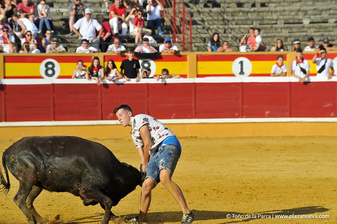 180726_FIESTAS01_58469