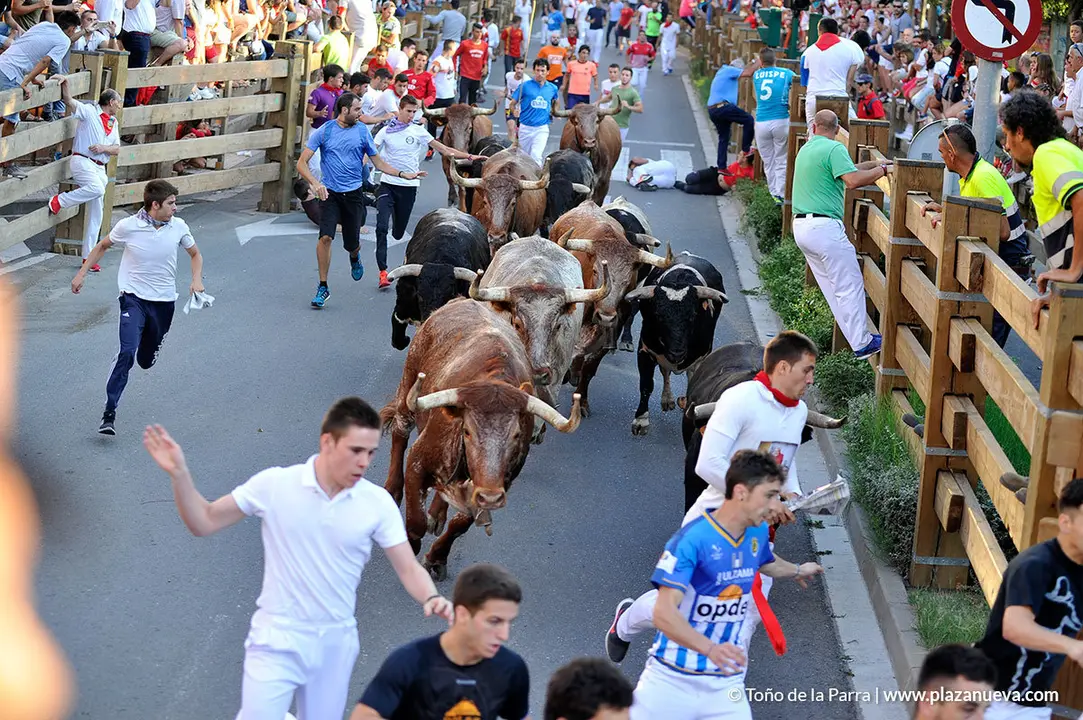 180726_FIESTAS01_58297