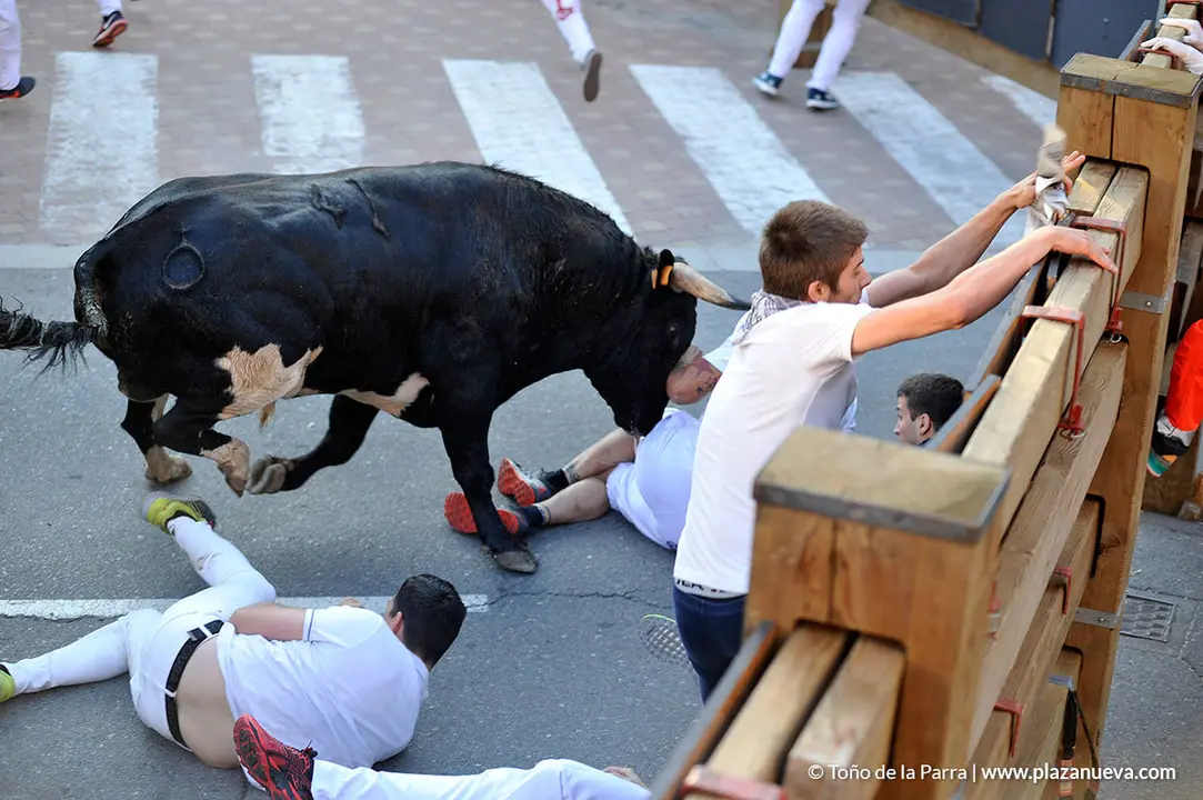 180726_FIESTAS01_58309