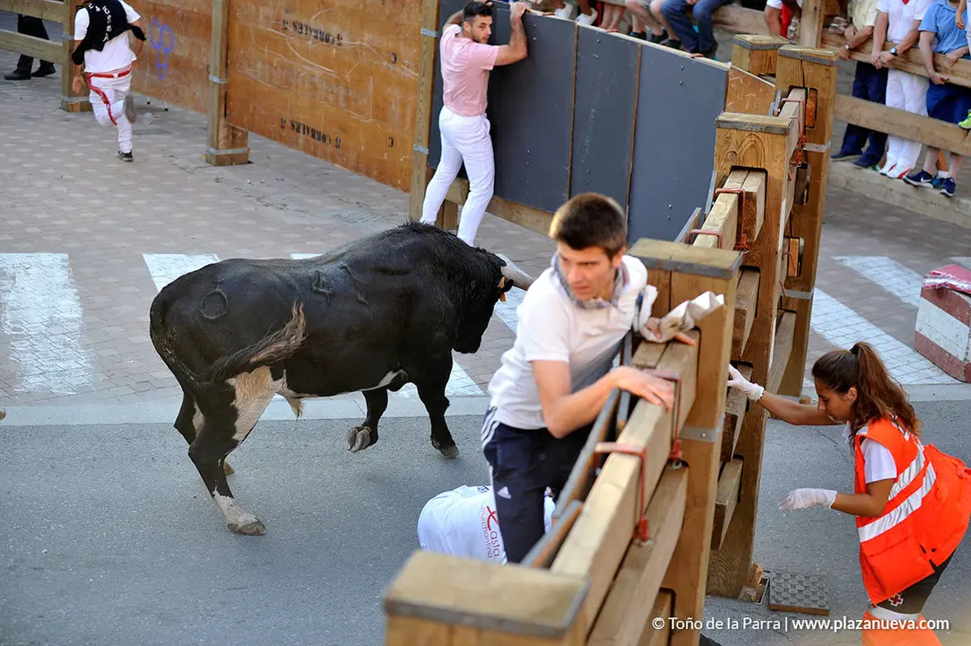 180726_FIESTAS01_58314