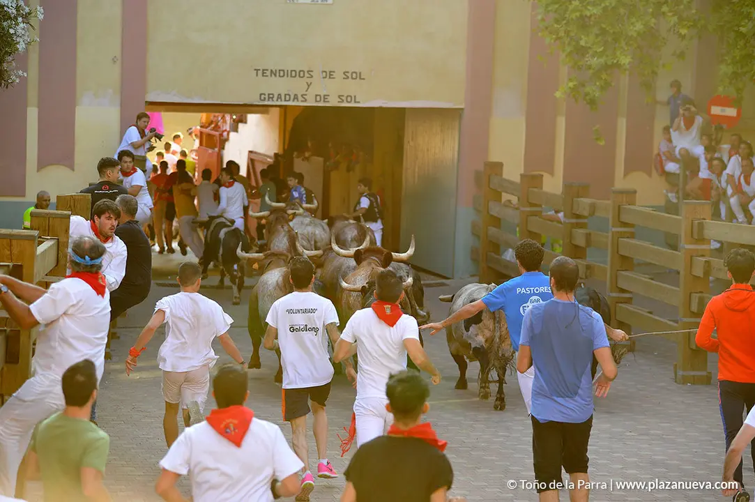 180726_FIESTAS01_58323
