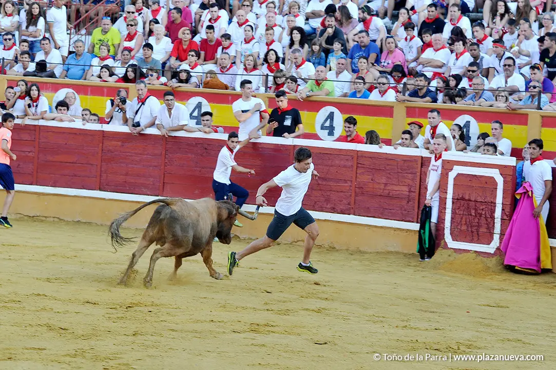 180726_FIESTAS01_58332