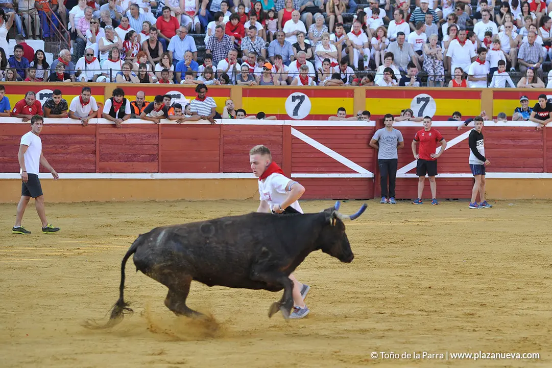 180726_FIESTAS01_58417