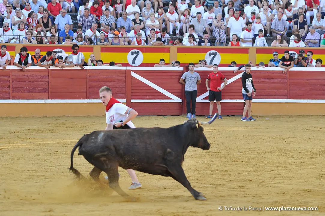 180726_FIESTAS01_58418