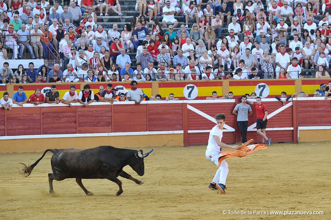 180726_FIESTAS01_58426