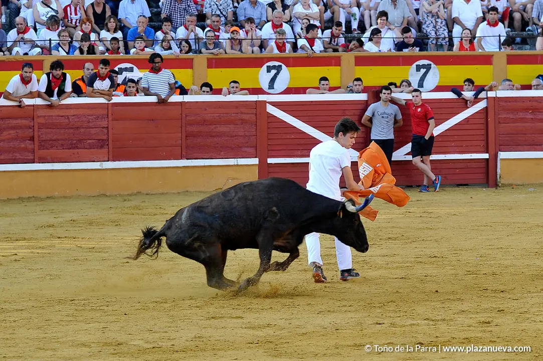 180726_FIESTAS01_58428