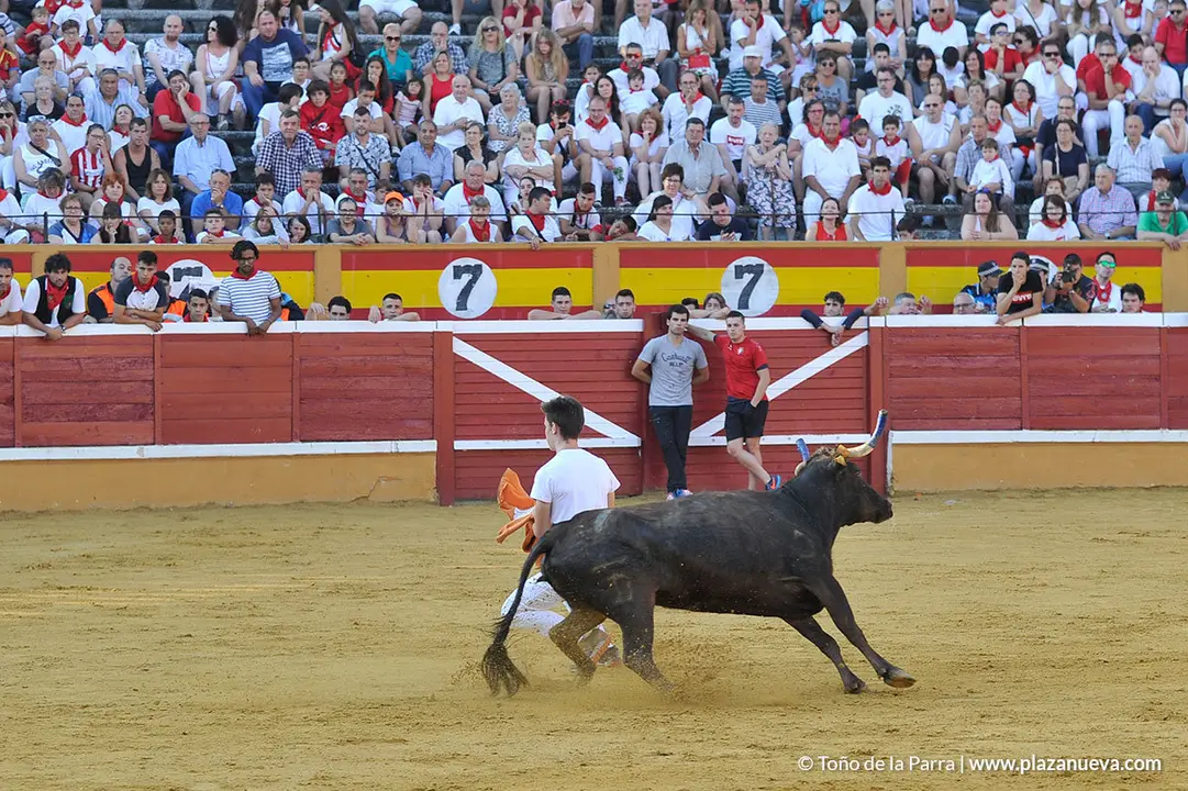 180726_FIESTAS01_58430