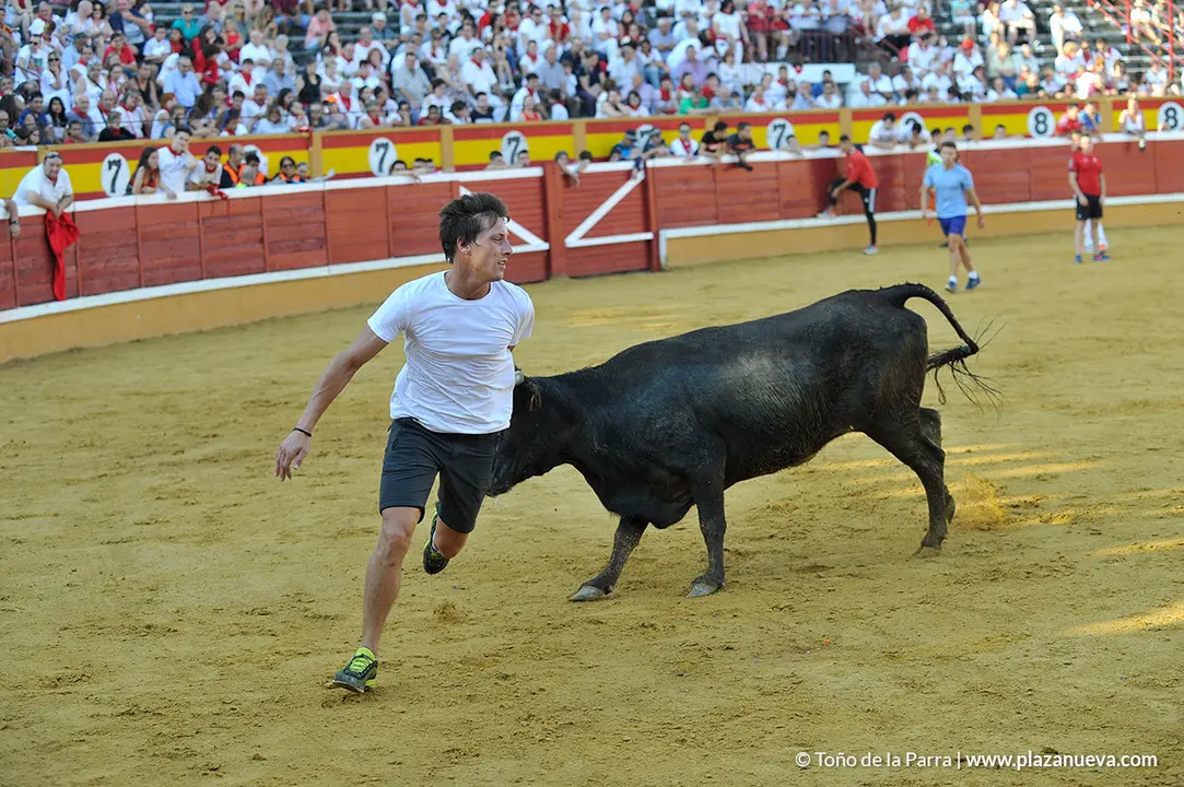 180726_FIESTAS01_58452